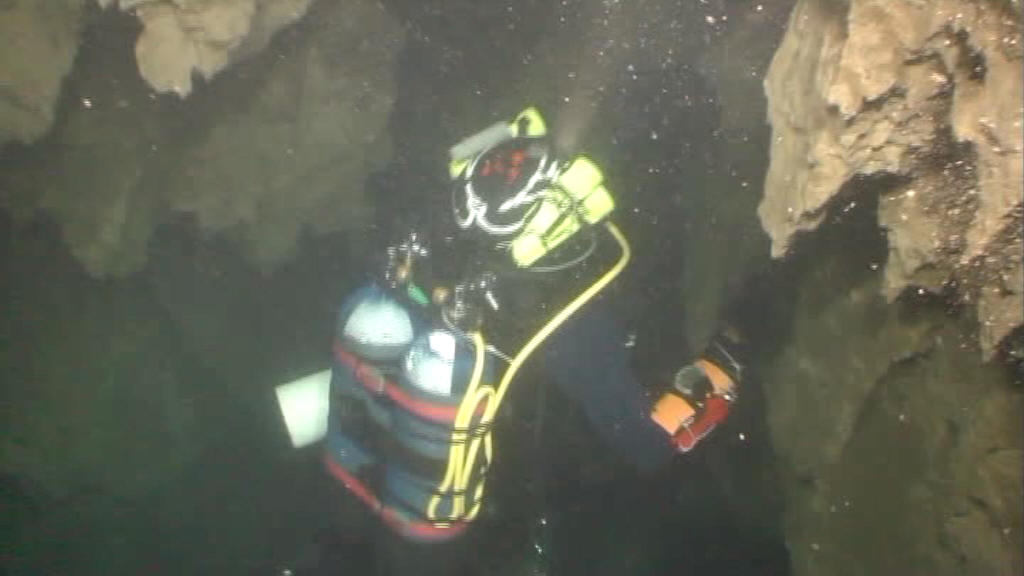 Massimiliano Pellegrini